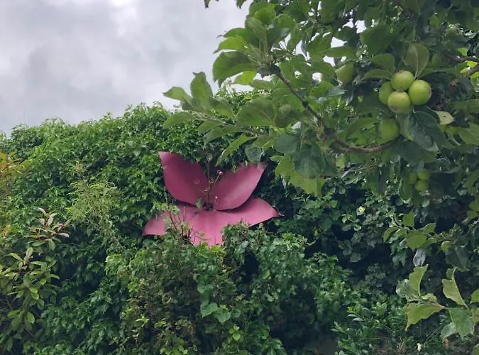 The Piano House 펜션